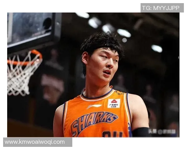 王哲林在CBA赛季中的表现与未来发展潜力分析